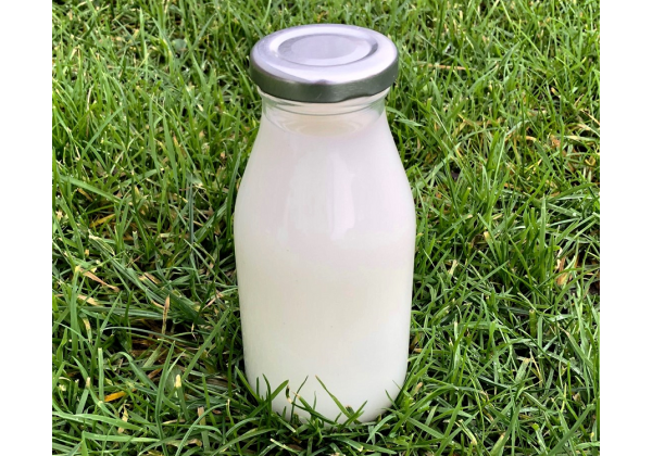 250ml Glass Milk Bottles with RTO cap